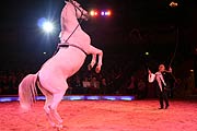 Christel Sembach Krone zeigt Pferdedressur (Foto: Martin Schmitz)